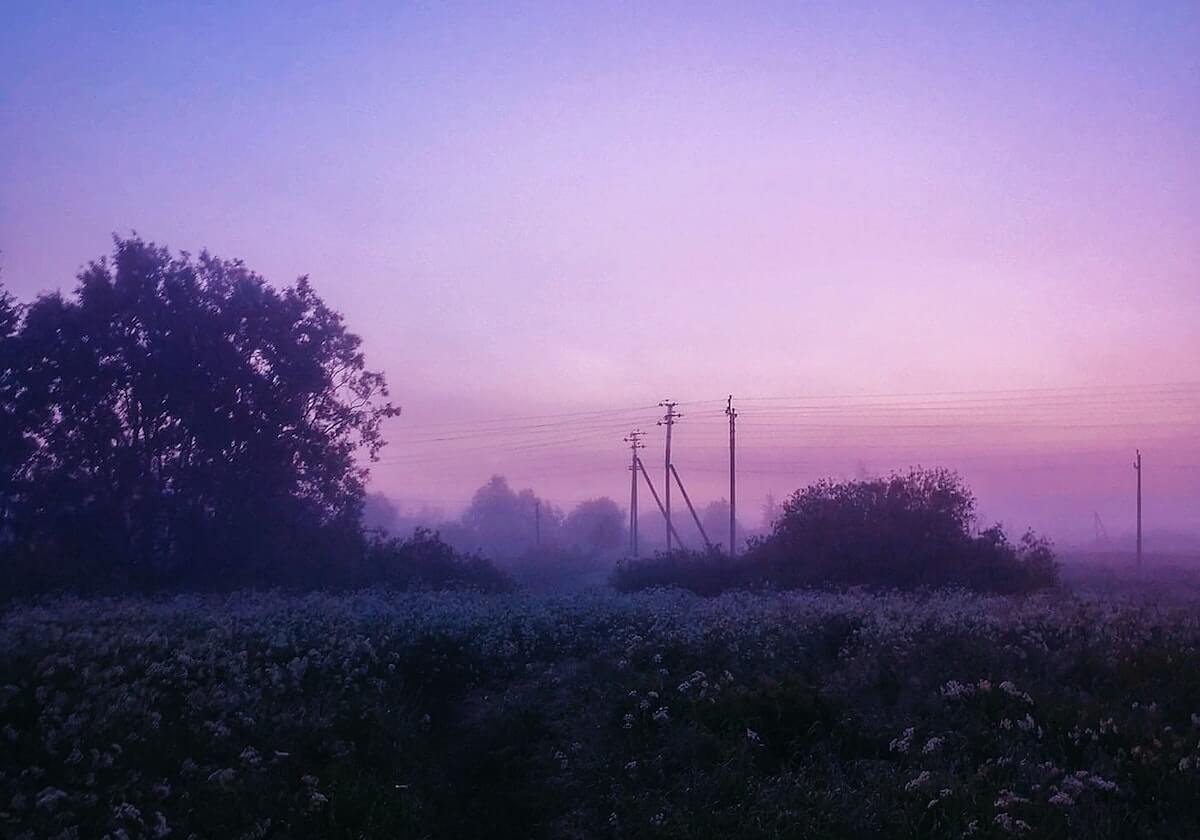 星空体育官网-CBA常规赛13轮：辽宁不敌广东终结三连胜